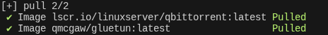 Terminal output showing two items: qbittorrent:latest, gluetun:latest; all items have green status indicators.